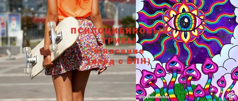 Псилоцибиновые грибы Magic Shrooms  Лиски 